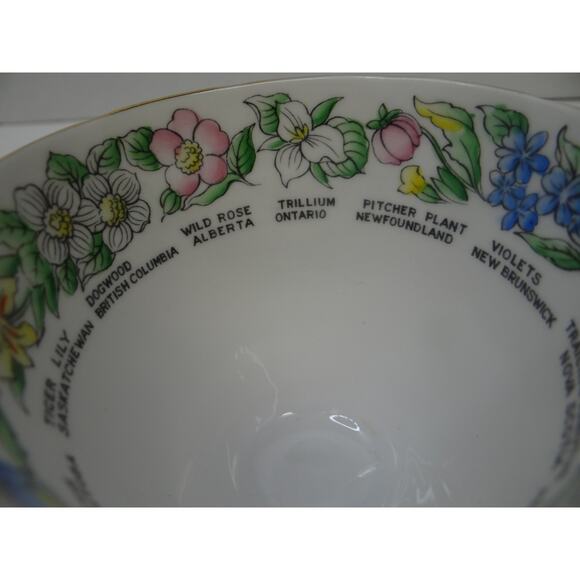 Floral Emblems of Canada  tea cup/ saucer Royal Stafford Bone China Collectable - Picture 8 of 12